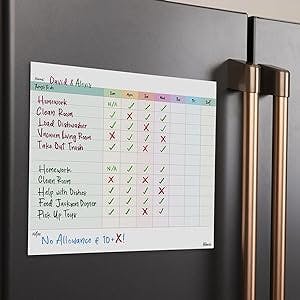 M.C. Squares Dry Erase Chore & Task Chart for Adults & Kids | Reusable Daily Family Checklist Clings To Stainless Steel & Glass (any shiny surface) | Included Wet Erase Tackie Marker | USA Made